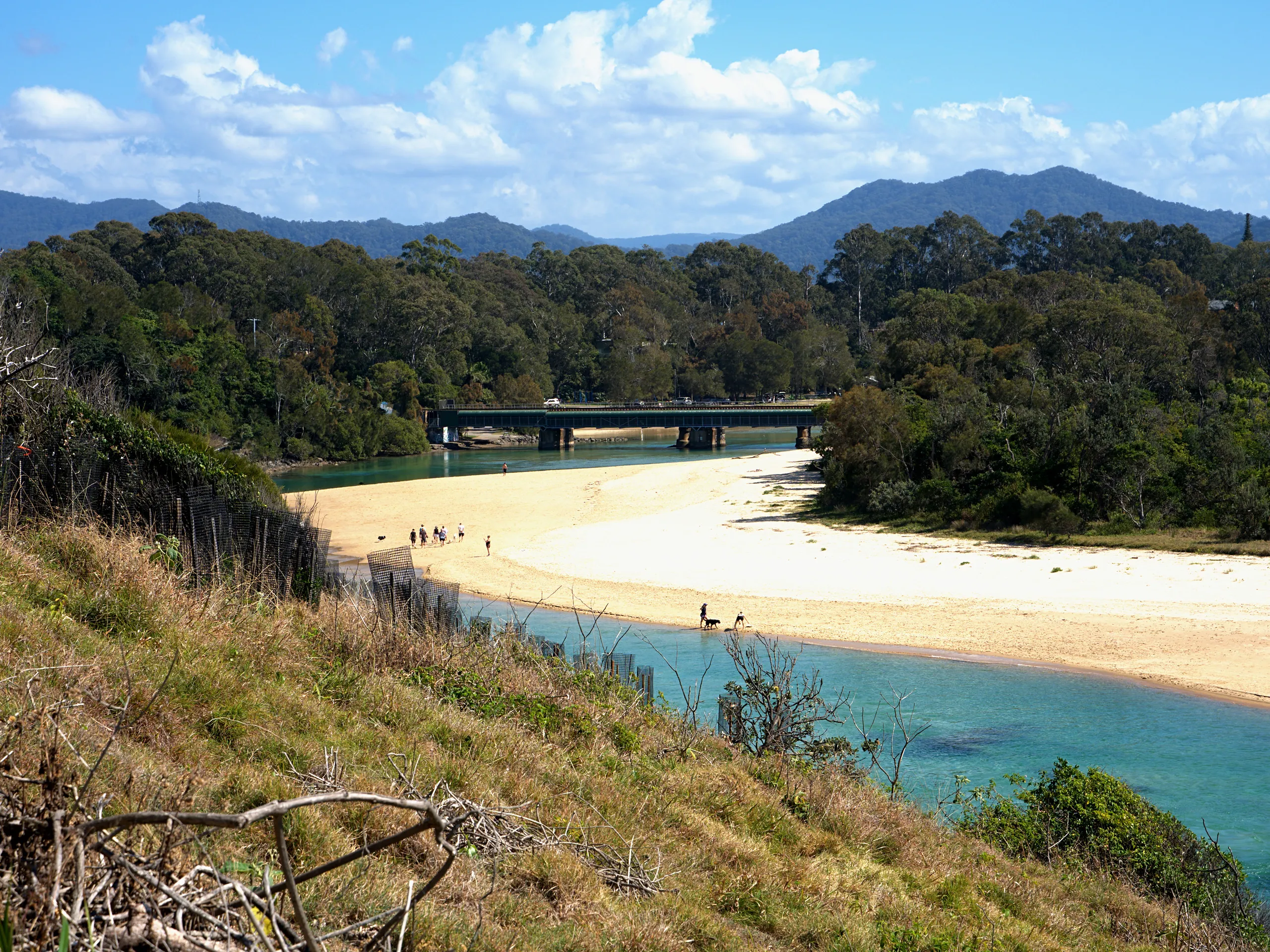 A wide bank of sand exposed on Boambee Creek with the hinterland hills behind