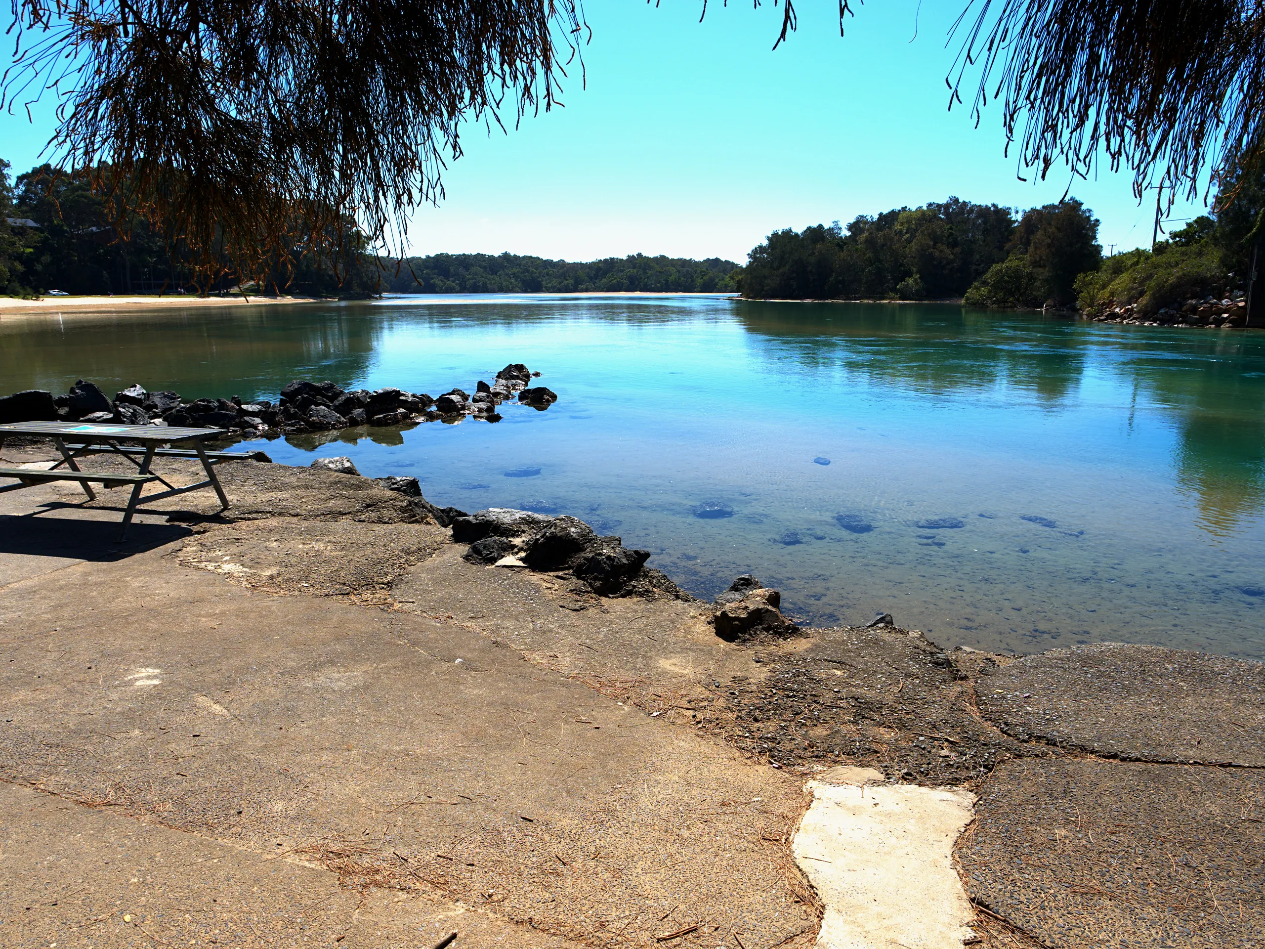 A picnic table on the concrete edge of Boambee Creek beside clear green water
