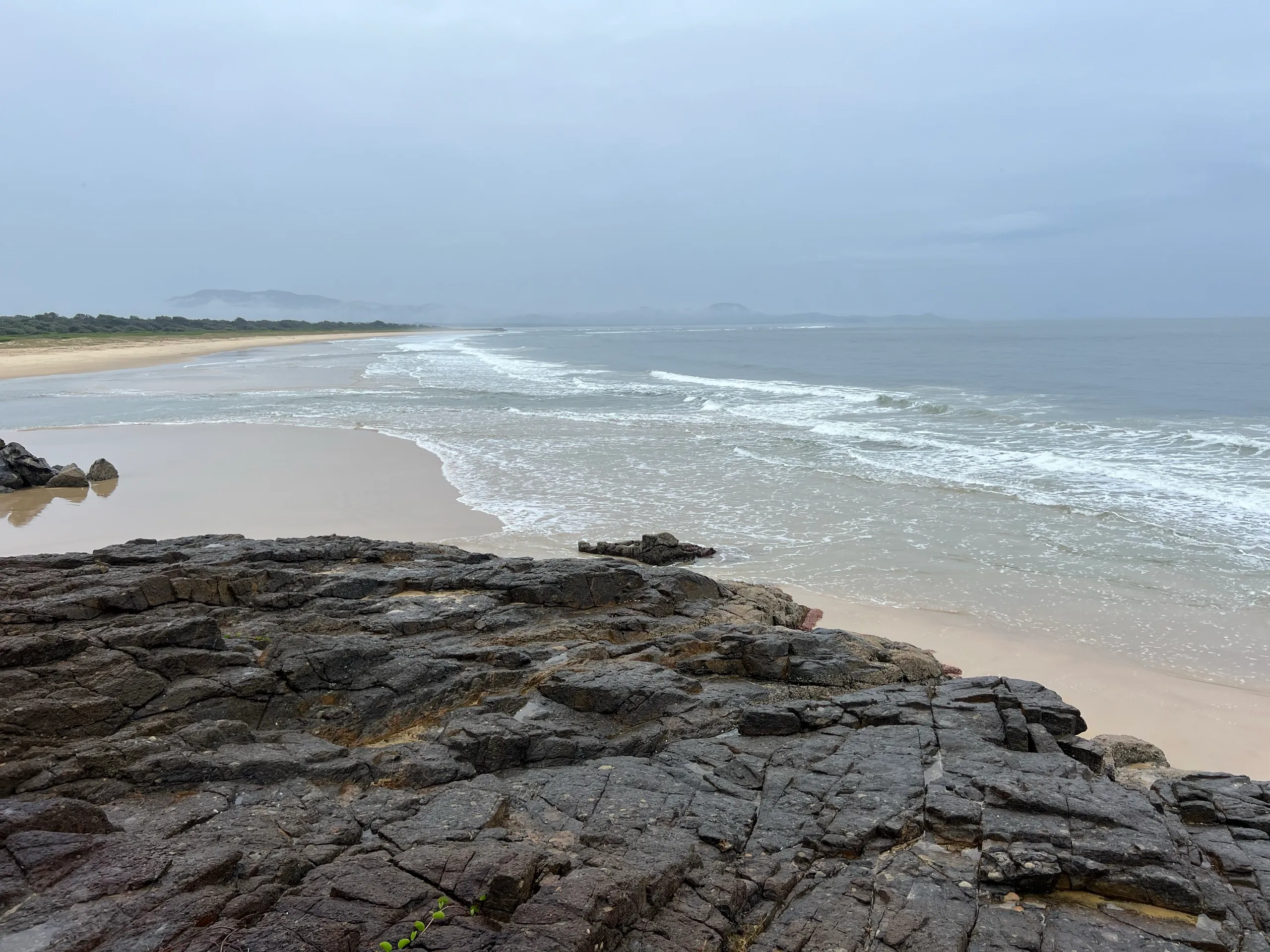 Pet-friendly cottage, Pet-friendly in south west rocks